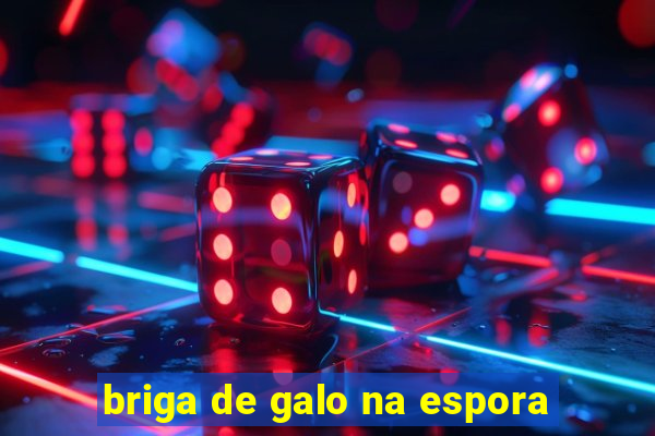 briga de galo na espora